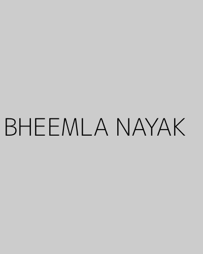 BHEEMLA NAYAK (2022) poster
